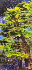 David Harrison Digital Photography Acrylic Art Chicago Botanic Garden Bonsai ’17