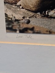 Low Tide By Norma Warden Framed Photograph Signed Dated Vintage 1985
