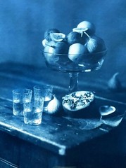 Framed Editioned Cyanotype Photography by John Dugdale