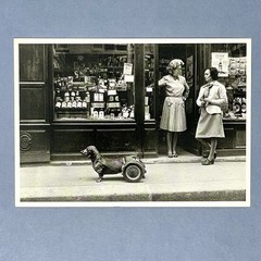 Robert Doisneau Art Photo Print Card – Dog On Wheels, 1977 – Fotofolio 4”x6”