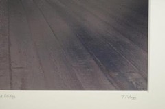 Tom Adams Photography Harris Covered Bridge Summer Oregon Matted Photo 11X14