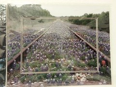 Dan Richards photo art 2 unframed new in plastic cover 14 x 11