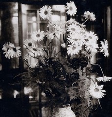 Larger size Vintage fine art Photograph, still life w flowers, 1920’s