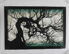 Mike Starn / Structure of Thought 30 16 x 20 LIMITED EDITION ARCHIVAL Signed 1st