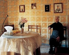 BERT TEUNISSEN Domestic Landscape SIGNED Photograph ‘Pino del Oro #3’ 2005 14×17