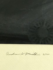 Galapagos photo «Monolith Intaglio» 2/100 Framed 17 x 13 Signed A Mishkin 1997