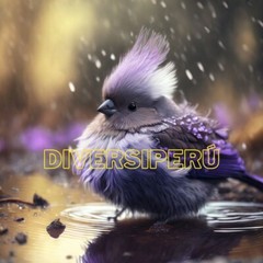 Digital Image Picture Photo Wallpaper Background Desktop Art