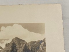 Stephen H. Willard (1894-1966) Original Vintage Picture No 952 Stamped Back