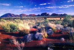 Signed Southwestern Desert Landscape Full Color Photograph Framed 12×15