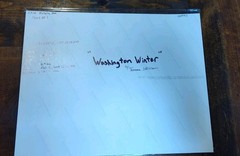 Washington Winter Time/Metallic Ink Print/Aerial View