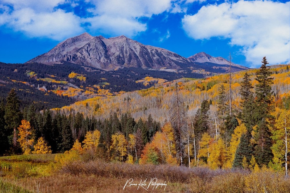 Autumn on Kebler Pass Framed Colorado Mountain Landscape Photograph Wall Art