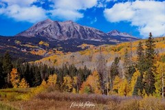 Autumn on Kebler Pass Framed Colorado Mountain Landscape Photograph Wall Art