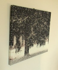 winter tree canvas print of original photo 20 x 16 x 3/4″