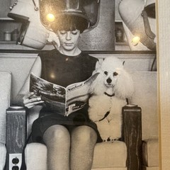 Vintage Black & White Photograph Woman Under Hair Dryer w/ Dog, Framed Matted