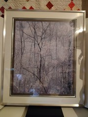 Eliot Porter Print Redbud Tree In Bottom Land Formatting’s Professional Framed