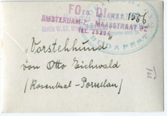 K4278 Foto ca 1930 Rosenthal – Porzellan Figur Vorstehhund Otto Eichenwald