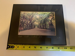 Original Signed Photograph Poets’ Walk Central Park NYC Vintage Photo Art