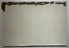 Original 20th Century JAMES VANDERZEE Style Photograph of African American Men