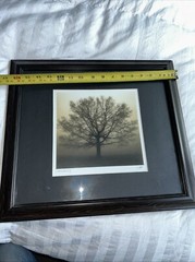 Richard Calvo «Awakening» Glass framed Photo Print 8”x8” OD 15”X7” Signed