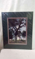 Amelia Island Light Fine Art Lighthouse Photography 5”x7” Matted John A Kuhn FL