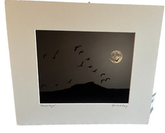 JOHN DAVID GEERY ~ «MOONLIGHT FLIGHT” SIGNED DIGITAL COMPOSITE PHOTO ~ 15” x 13”