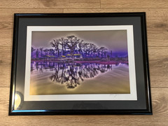 Alan Zakem Signed Louisiana Bayou Landscape Fine Art Photography Print