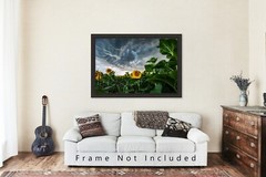 Country Wall Decor Art Print of Sunflowers Under Storm Clouds in Kansas