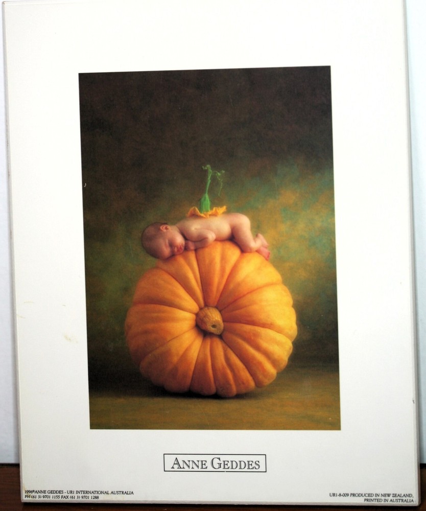 Anne Geddes My Little Pumpkin Baby 10X9 inches Picture