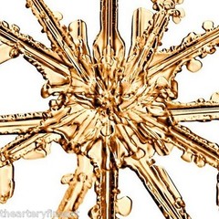 MIKE & DOUG STARN TWINS ‘Sno7,1_016 (Snowflake)’, 2005 SIGNED Photograph **NEW**
