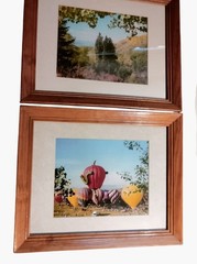 Steamboat Springs Hot Air Balloon Nature Landscape Wood Framed Wall Art lot 3
