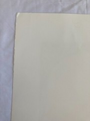 WILLIAM T. WILEY Signed DENEB Lithograph 1996 LIMITED EDITION Print Cleveland