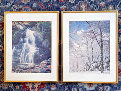 Set of 2 Gold Framed Nature Photographs Waterfall Winter Tree 14.5″ x 18.5″