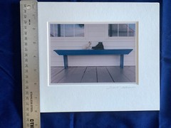 Bill Coleman Amish Photograph – kitten and boot on a bench – Signed & Matted