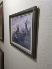 Custom framed photograph of 3 deer, Bucks, Laying In A Field