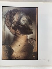 «Egyptian Diaries» book, Gundula Schulze El Dowy, very good used w/dust jacket