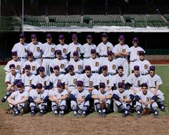 1952-tigers-color 8×10 Colorized Print-FREE SHIPPING