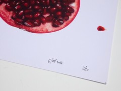 Pomegranates – 17″ x 22″ Fine Art Photography Print – Artistic Food Photography