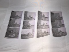 NEWLY FOUND Hendrickson PHOTO Contact Sheet Proof/Negs GIRL HOLDS KITTEN & DUCKS
