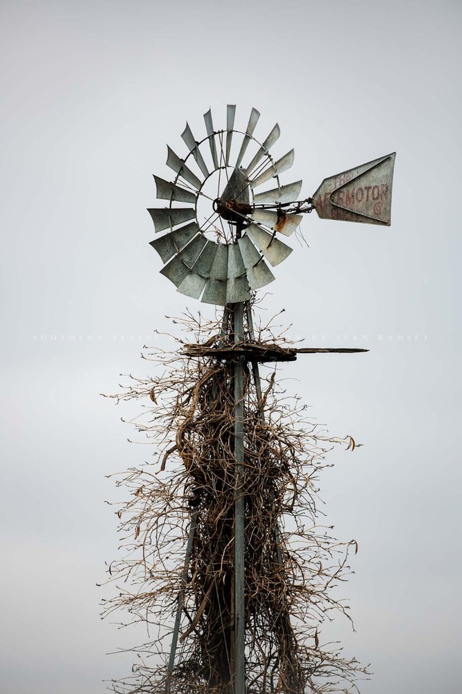 Country Photography Print | Windmill Picture | Oklahoma Wall Art