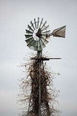 Country Photography Print | Windmill Picture | Oklahoma Wall Art