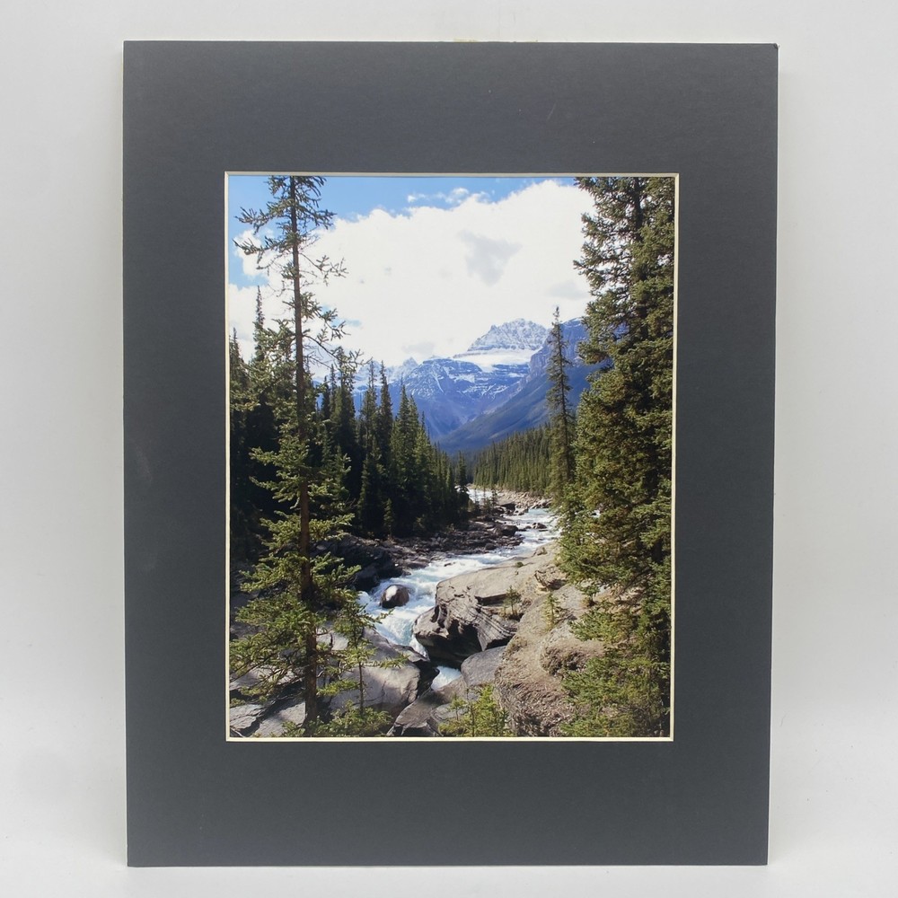 Matted Forest River Landscape Photo Print 11 X 14 Wall Art Gallery Decor
