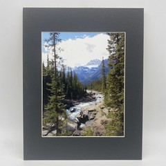 Matted Forest River Landscape Photo Print 11 X 14 Wall Art Gallery Decor
