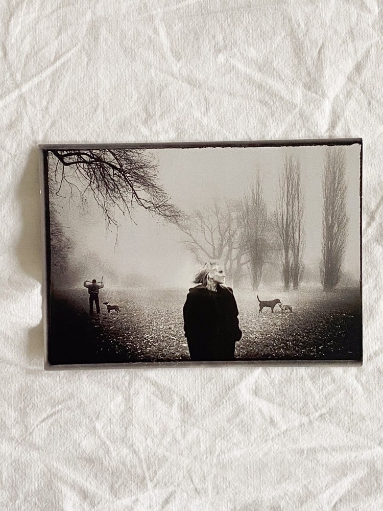 Postcard / Art Print / Analogue Photography Black and White Photograph Karin Székessy