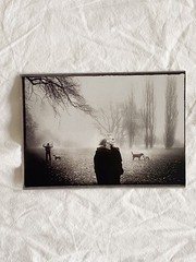 Postcard / Art Print / Analogue Photography Black and White Photograph Karin Székessy