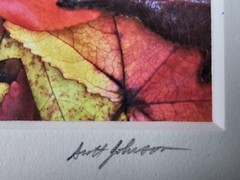 ART – VTG Original Signed Scott Johnson Photograph 10.5×8.5 Framed Gingko Leaves
