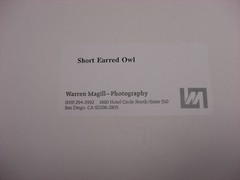 Warren Magill «Short Earred Owl» LTD ED Signed Color Photograph