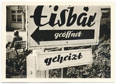 Grömitz 1957 «Polar Bear Opened – Heated» Advertising Sign Holstein Old Photo 1950s