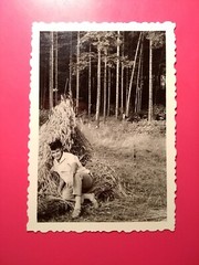 Old Photo Vintage Antique Pretty Man in the Wheatfield Man Cornfield Nice Old Photo