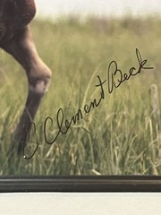 Signed C. Clement Beck Horse Photograph Framed 15” X 12.75”