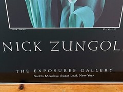 NICK ZUNGOLI Vintage 1981 «Pink Tulips» Signed & Framed- 18 x 24″